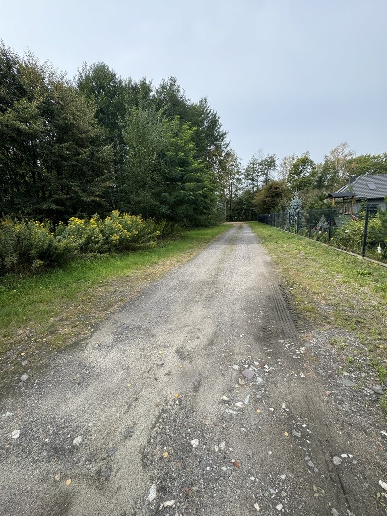 Działka budowlana na sprzedaż Borowina  2 200m2 Foto 1