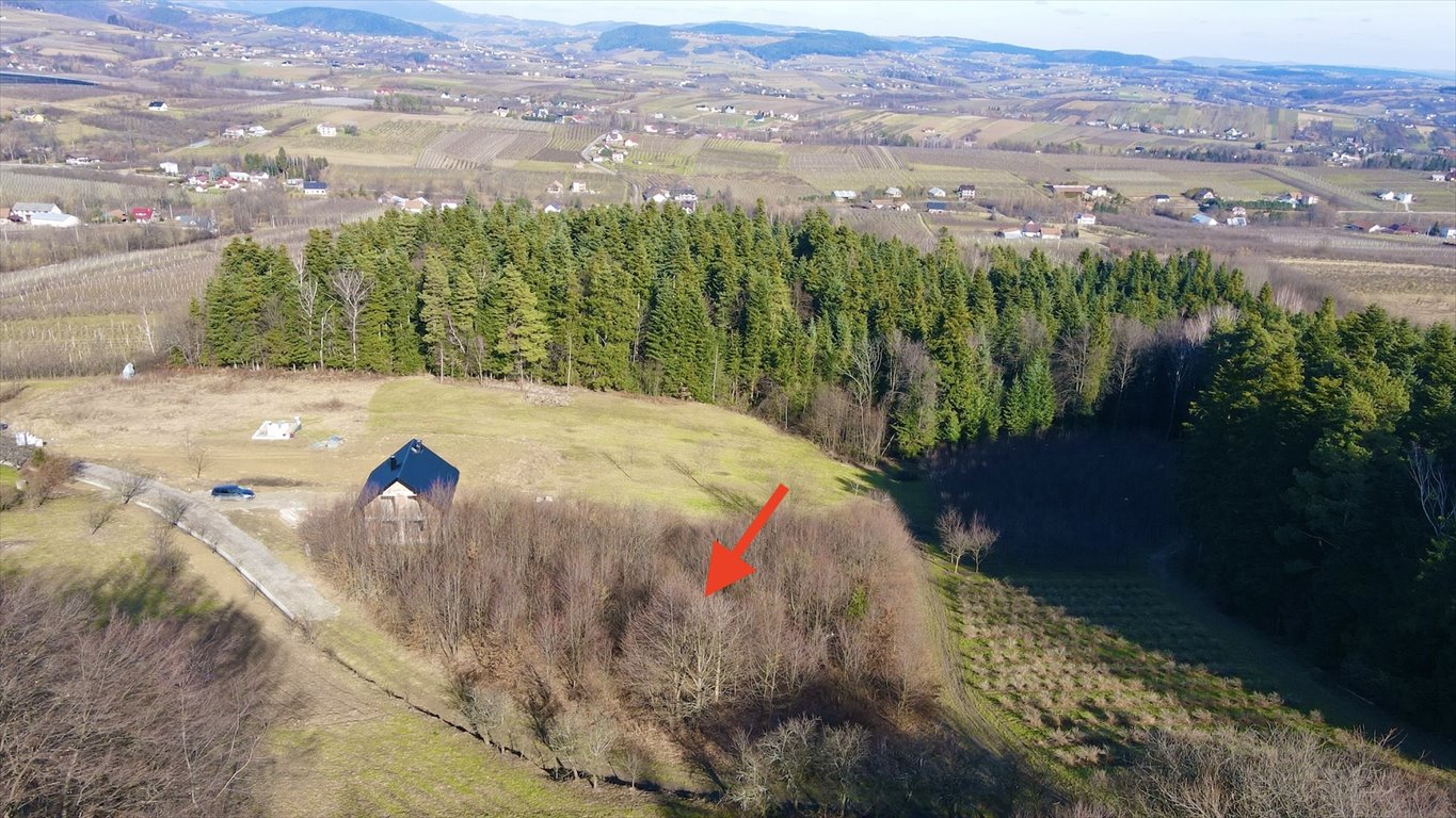 Działka budowlana na sprzedaż Olszana  2 153m2 Foto 3