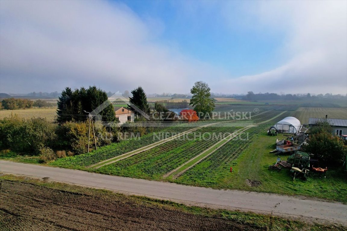 Działka budowlana na sprzedaż Zezulin Niższy, Zezulin  10 017m2 Foto 10