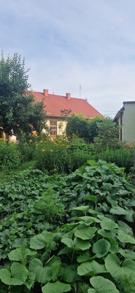 Dom na sprzedaż Nisko, Głowackiego  110m2 Foto 15