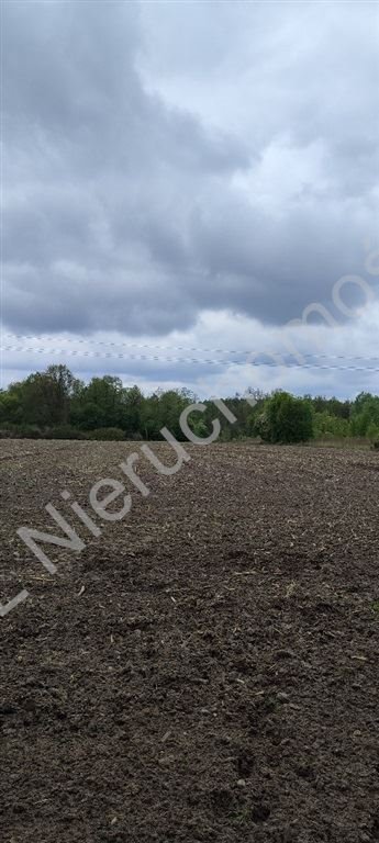 Działka budowlana na sprzedaż Radonie  39 300m2 Foto 3