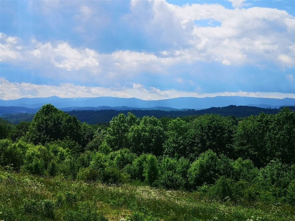 Działka inna na sprzedaż Radomice  1 066m2 Foto 7