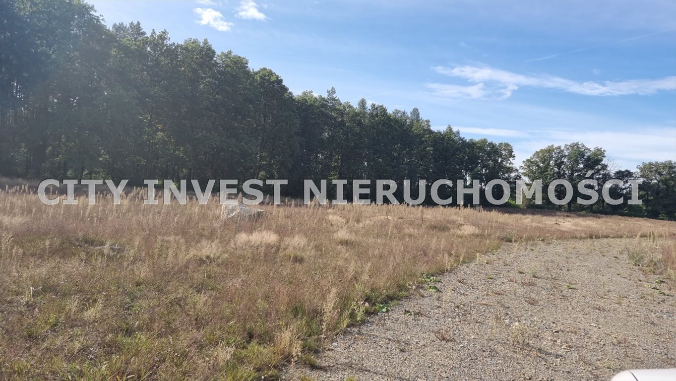 Działka rolna na sprzedaż Trzebule  3 100m2 Foto 1