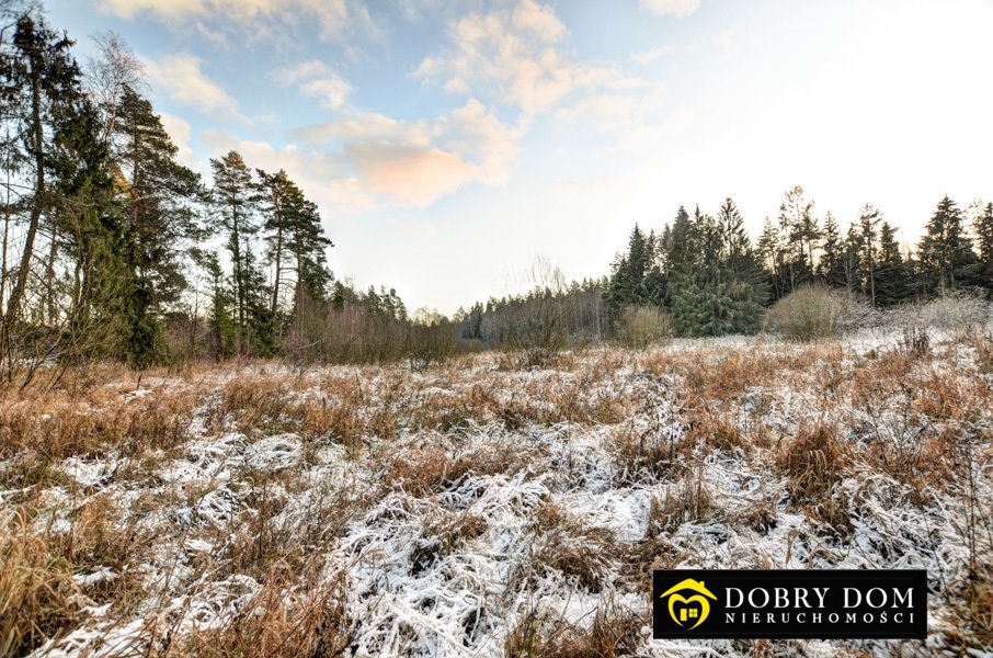 Zapraszam do zakupu działki 5183 m² w Atenach - cisza i natura Ateny  5 183m2 Foto 1