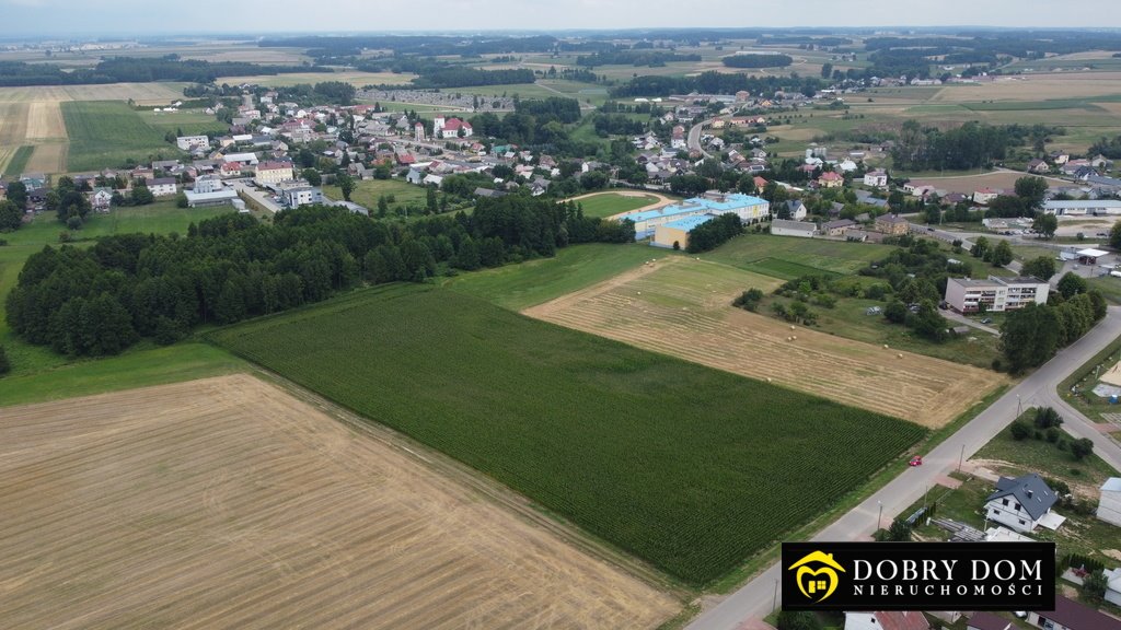 Działka rolna na sprzedaż Trzcianne  38 210m2 Foto 2