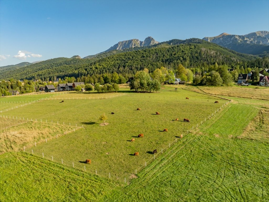 Polecam działkę 3115 m² w Kościelisku z regularnym kształtem i dużym potencjałem Kościelisko, Gronik  3 115m2 Foto 1
