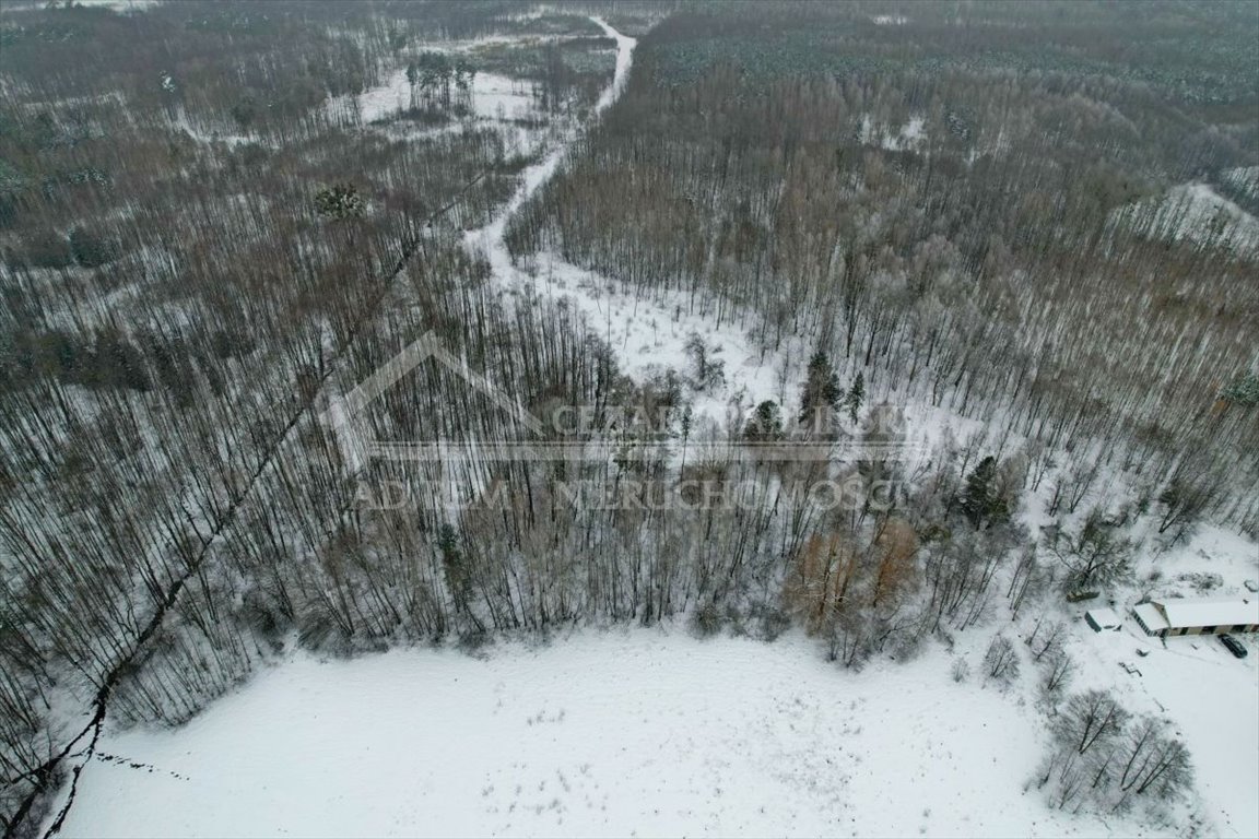 Zdjęcie 2