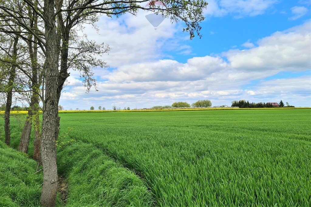 Działka budowlana na sprzedaż Rokietnica, Polna  12 700m2 Foto 4