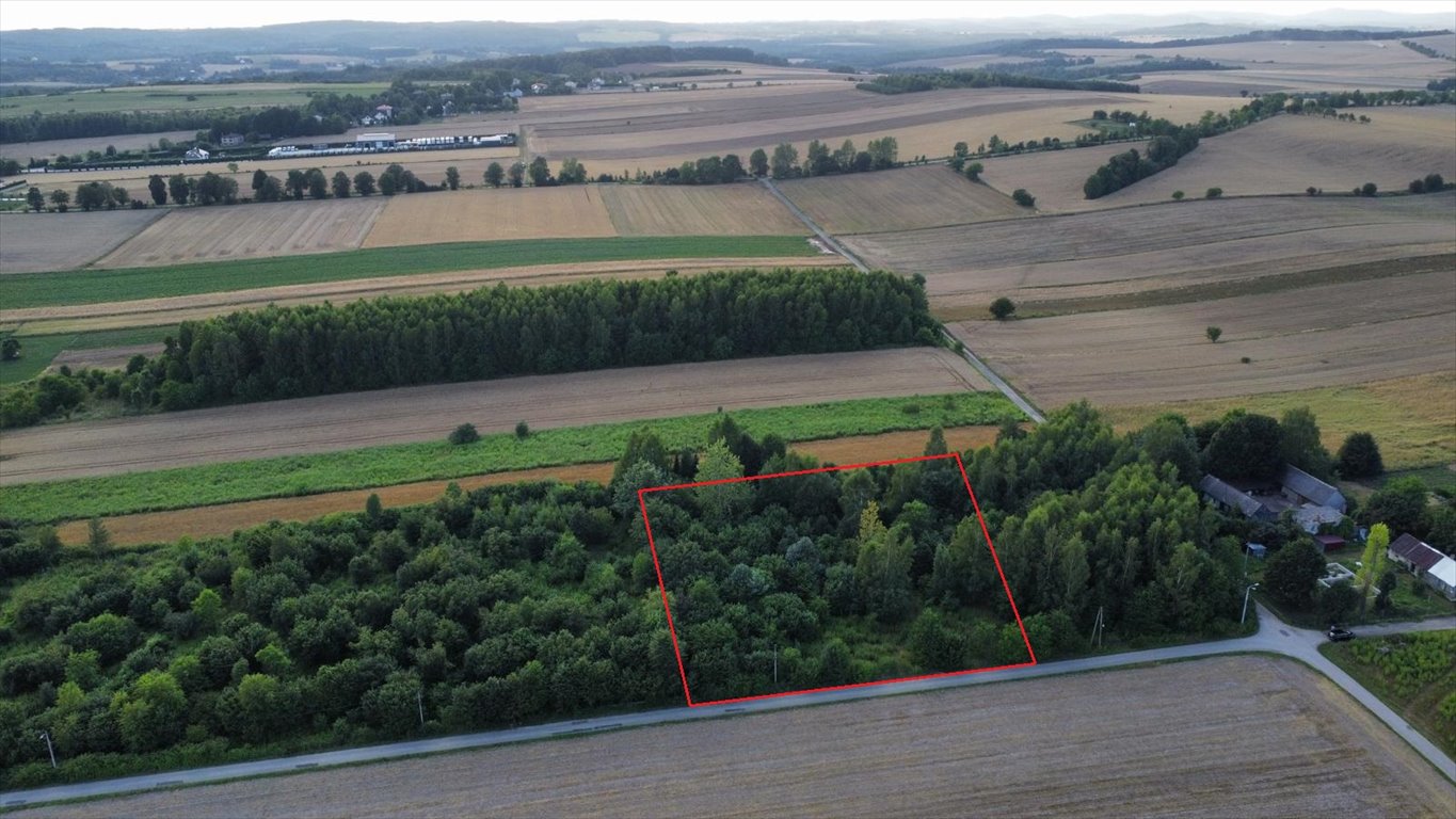 Działka budowlana na sprzedaż Giebło  3 828m2 Foto 1