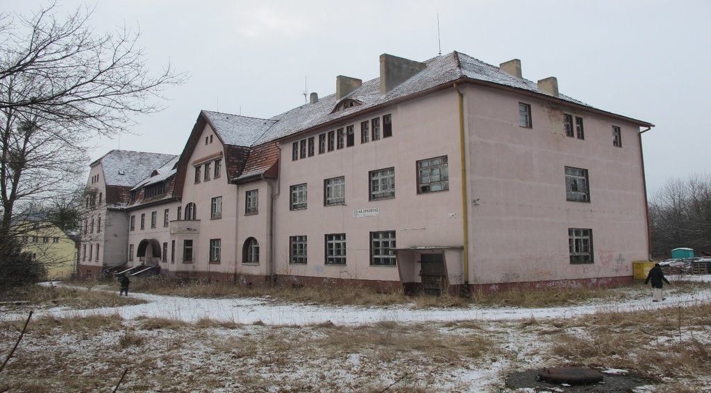 Na sprzedaż działka 0,7352 ha z zabudowaniami w Krośnicach Krośnice, Sanatoryjna  2 687m2 Foto 1