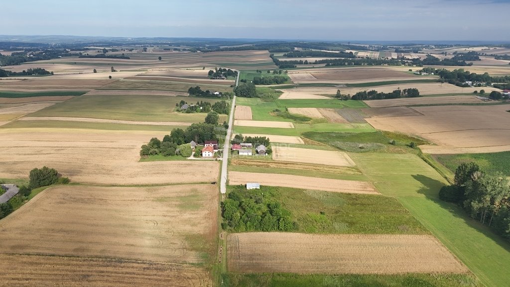 Działka siedliskowa na sprzedaż Boża Wola  9 100m2 Foto 6