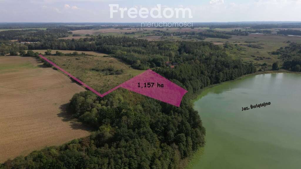 Działka inna na sprzedaż Mokiny  11 571m2 Foto 3