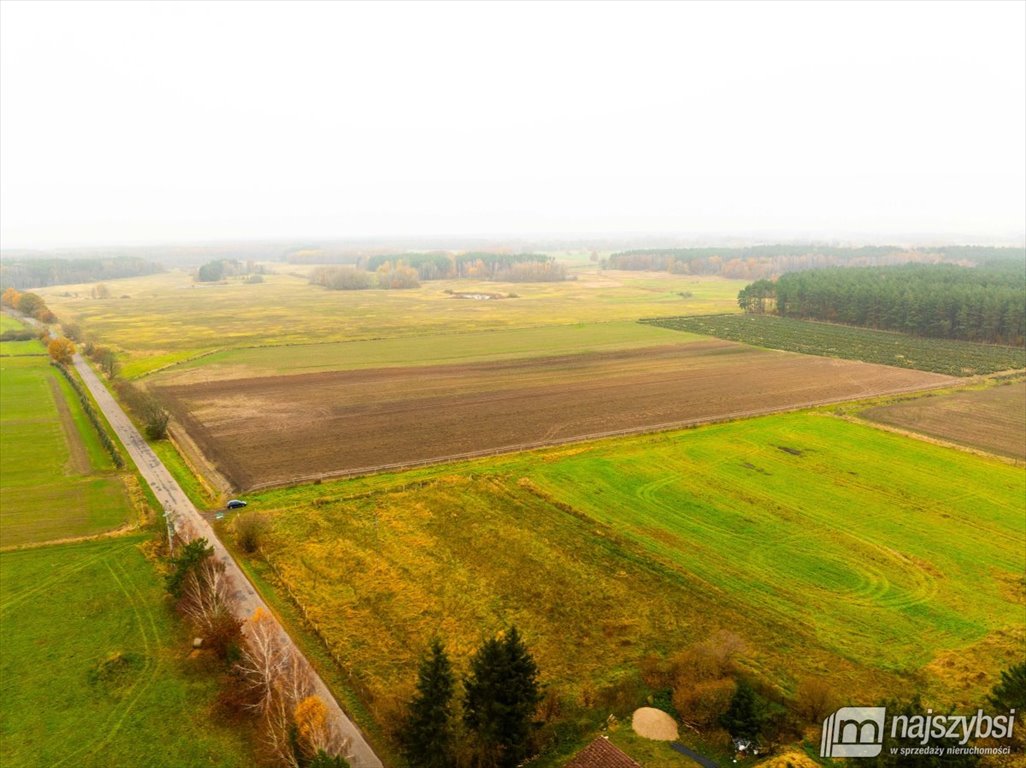 Działka budowlana na sprzedaż Węgorza, Wieś  1 498m2 Foto 3