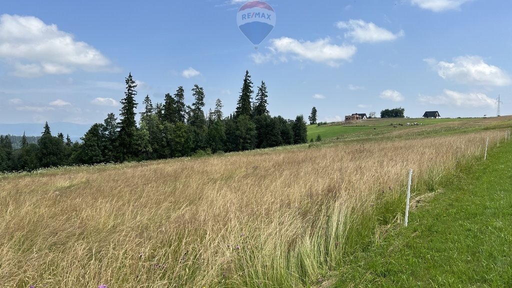 Działka rolna na sprzedaż Biały Dunajec  8 416m2 Foto 8