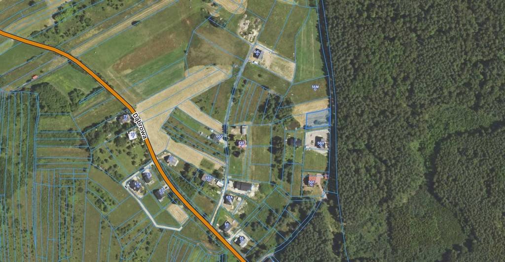 Działka 9,8 ar pod lasem, media, szybki dojazd Luszowice, Dąbrowa  980m2 Foto 1