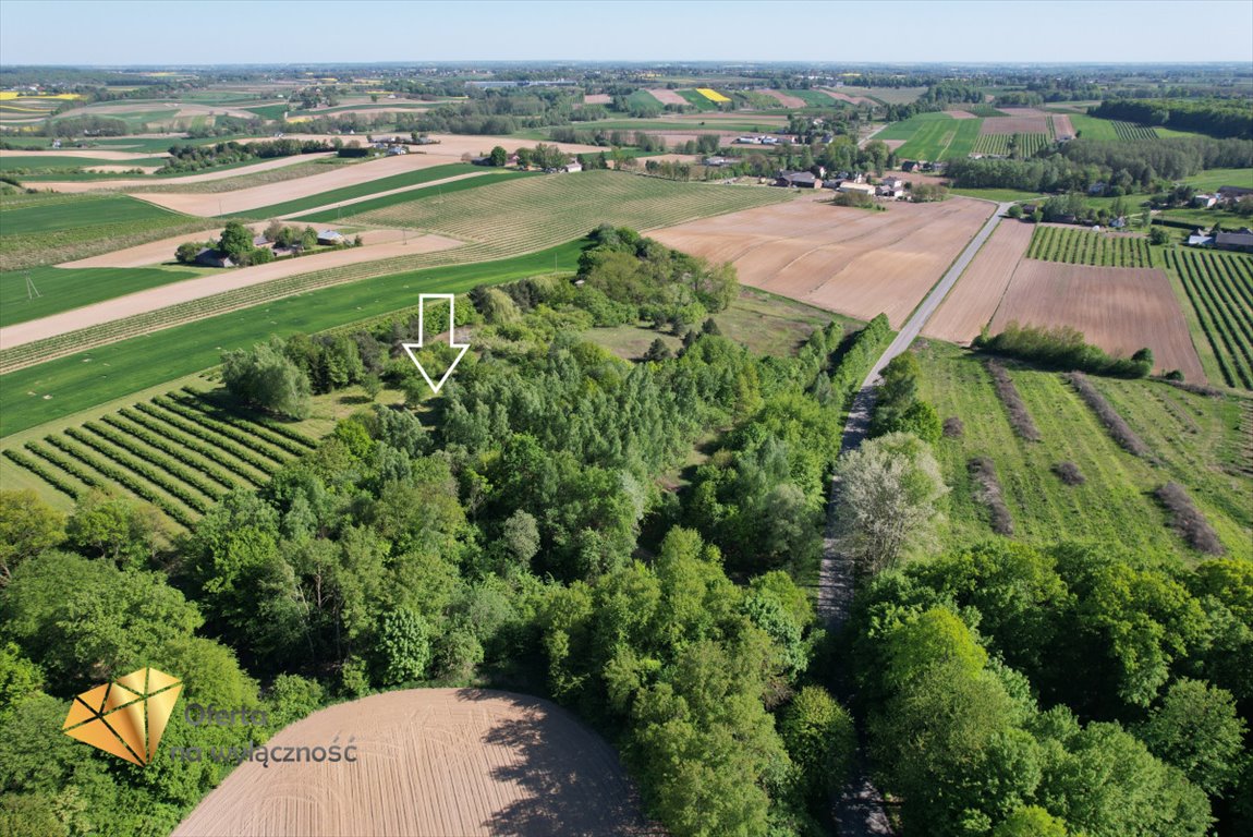 Działka budowlana na sprzedaż Bronice-Kolonia  3 653m2 Foto 3