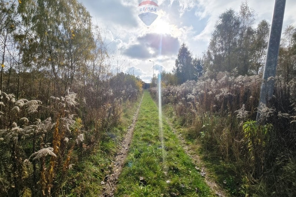 Działka budowlana na sprzedaż Klęk  4 283m2 Foto 3