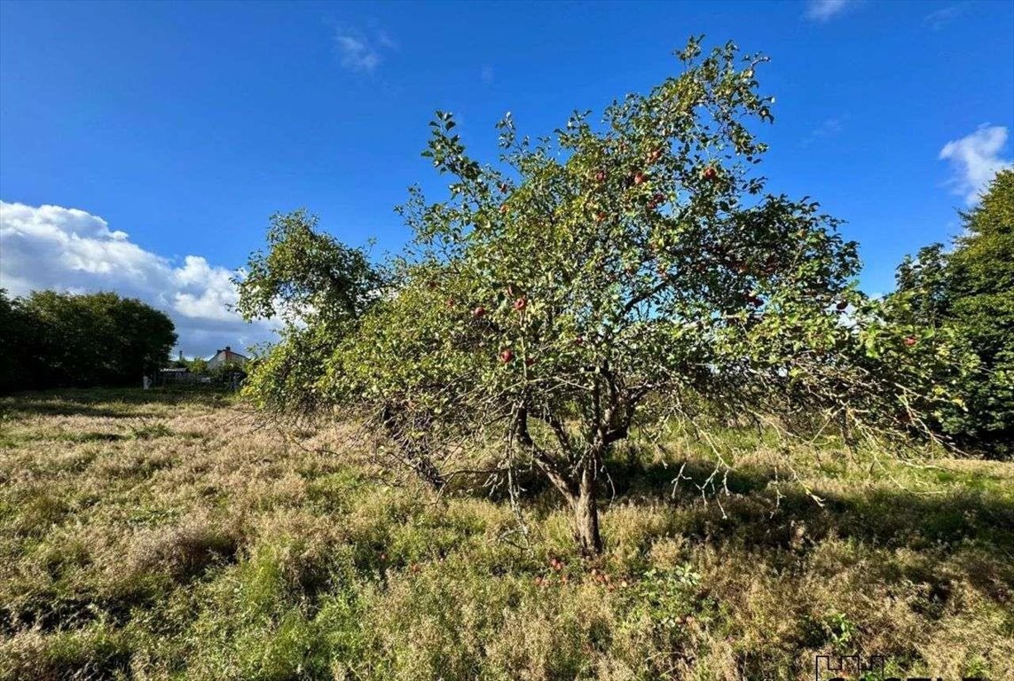 Działka budowlana na sprzedaż Gorzyno  5 800m2 Foto 6