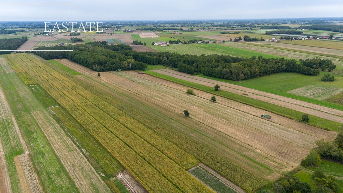 Działka budowlana na sprzedaż Gągolin Północny  29 200m2 Foto 9