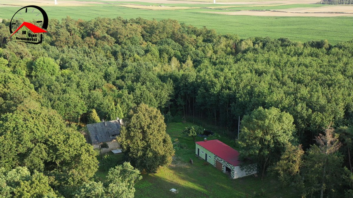 Dom na sprzedaż Sędowo  250m2 Foto 3