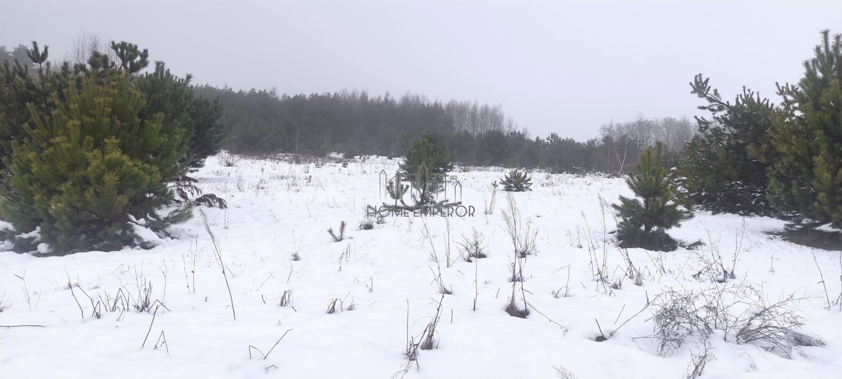 Działka budowlana na sprzedaż Piekarowo  19 000m2 Foto 7