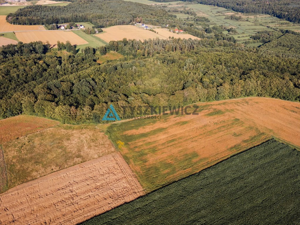 Działka rolna na sprzedaż Lisewo, Leśna  3 090m2 Foto 3