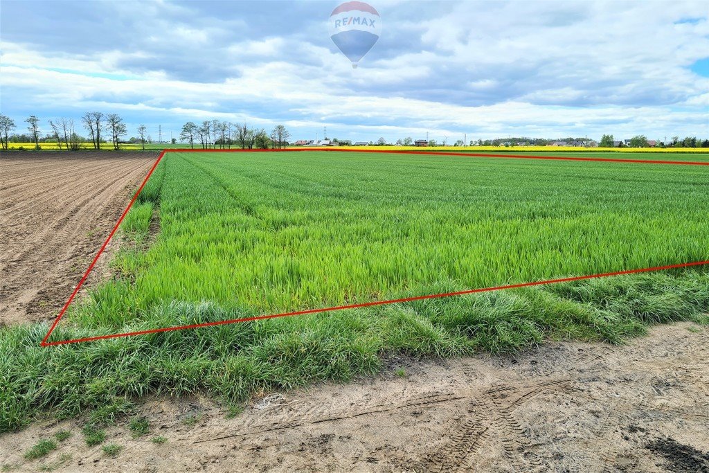 Działka budowlana na sprzedaż Rokietnica, Polna  12 700m2 Foto 2