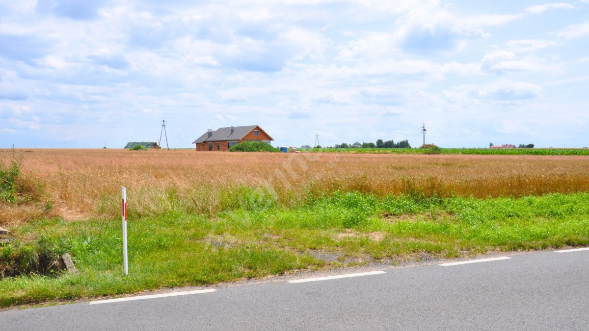 Działka budowlana na sprzedaż Sapowice  750m2 Foto 3