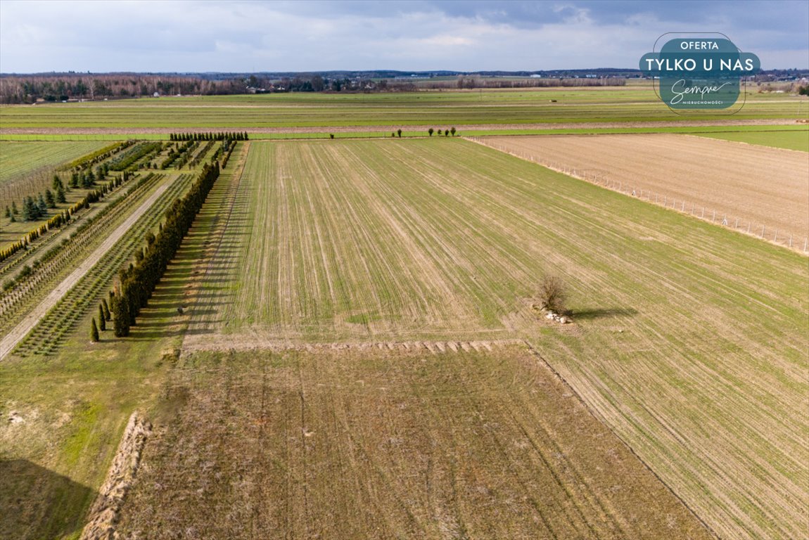 Działka budowlana na sprzedaż Paprotnia  1 000m2 Foto 7