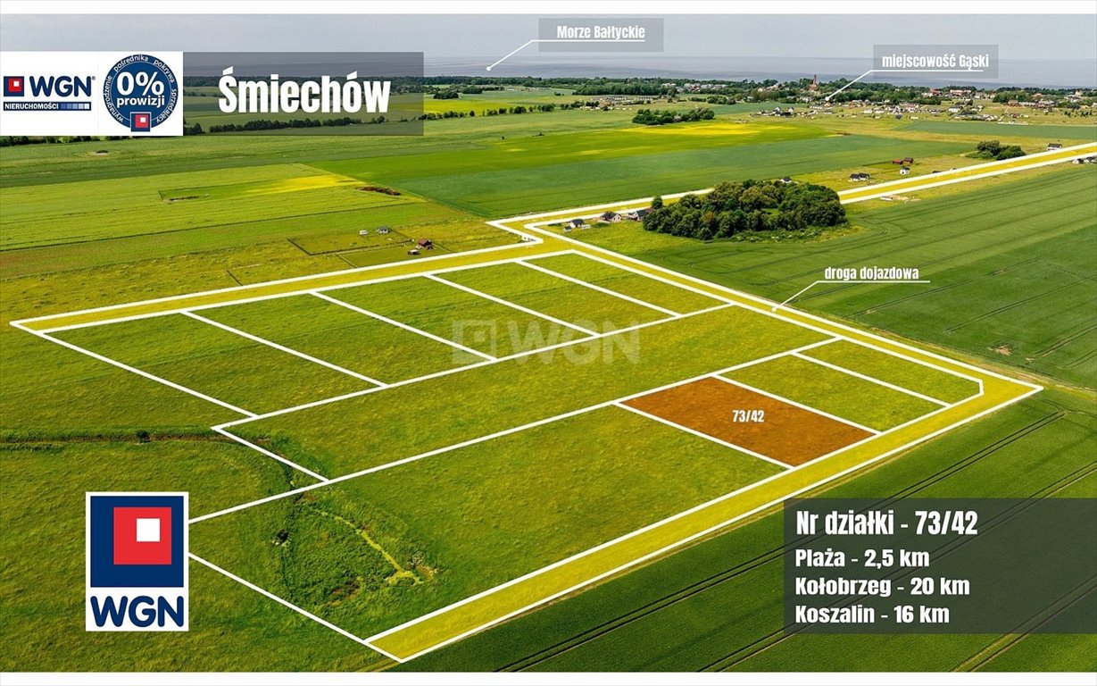 Działka inwestycyjna na sprzedaż Śmiechów, Śmiechów  3 003m2 Foto 1