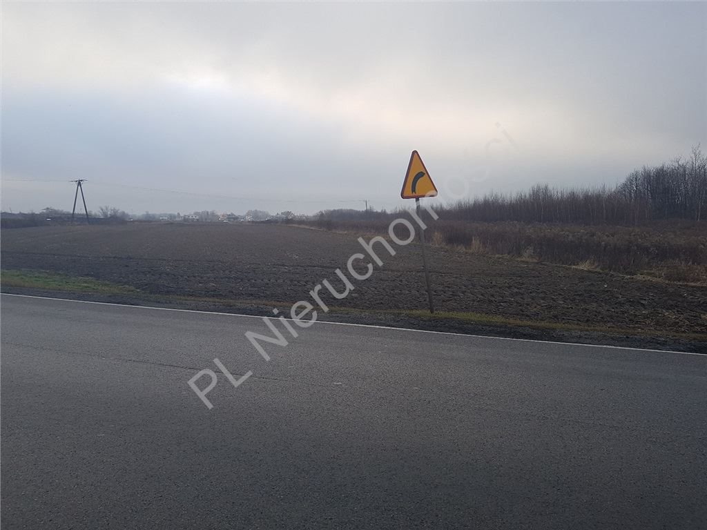Sprzedam działkę rolną 2,57 ha przy trasie 718 i A2 Domaniew  25 700m2 Foto 1
