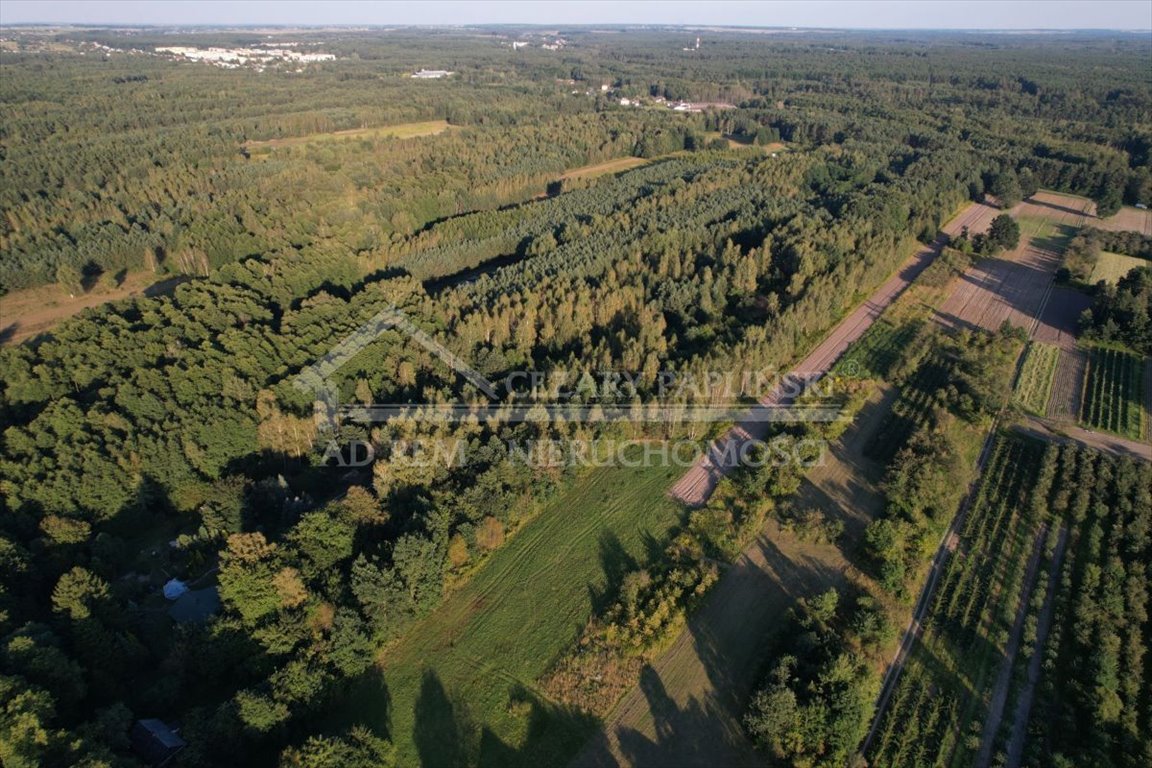 Działka leśna na sprzedaż Poniatowa, Leśniczówka, Leśniczówka  21 671m2 Foto 8