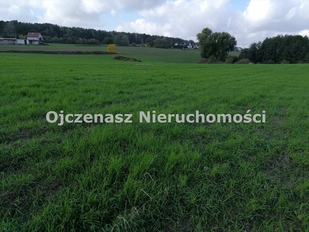 Działka budowlana 951 m2 w Niemczu, MPZP, media, cena Niemcz  951m2 Foto 1