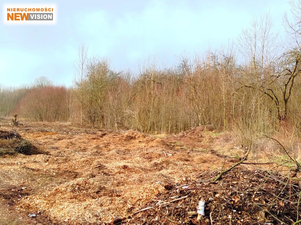 Działka 3537 m² pod zabudowę i inwestycję z pozwoleniem Dąbrowa Górnicza, Gołonóg, Górka Gołonoska  3 537m2 Foto 1