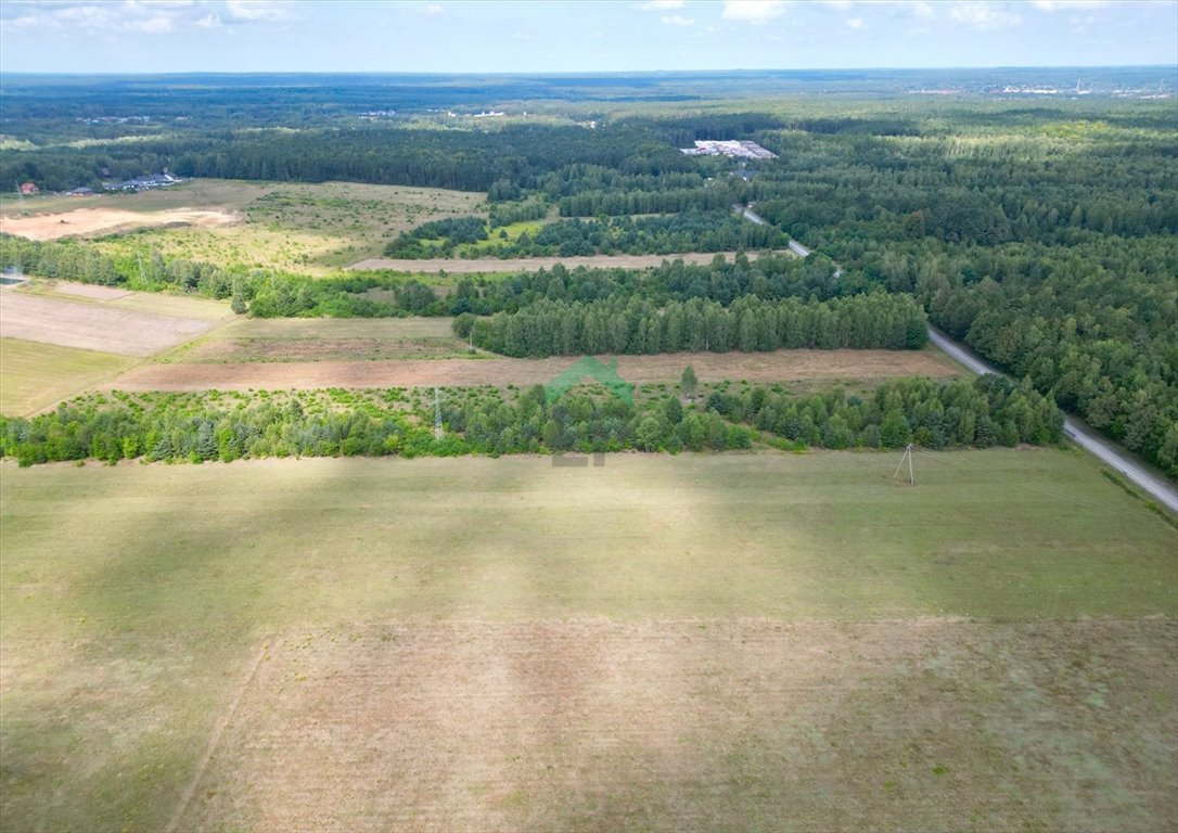 Działka inna na sprzedaż Aleksandria  9 800m2 Foto 5