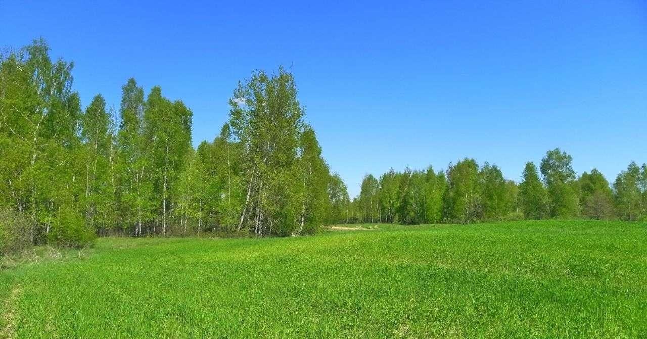 Działka rolna na sprzedaż Krasnopol  3 000m2 Foto 10