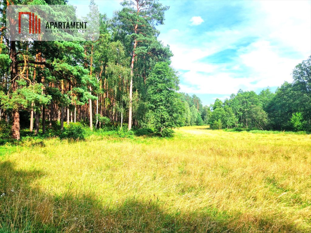 Działka gospodarstwo rolne na sprzedaż Biała  3 100m2 Foto 2