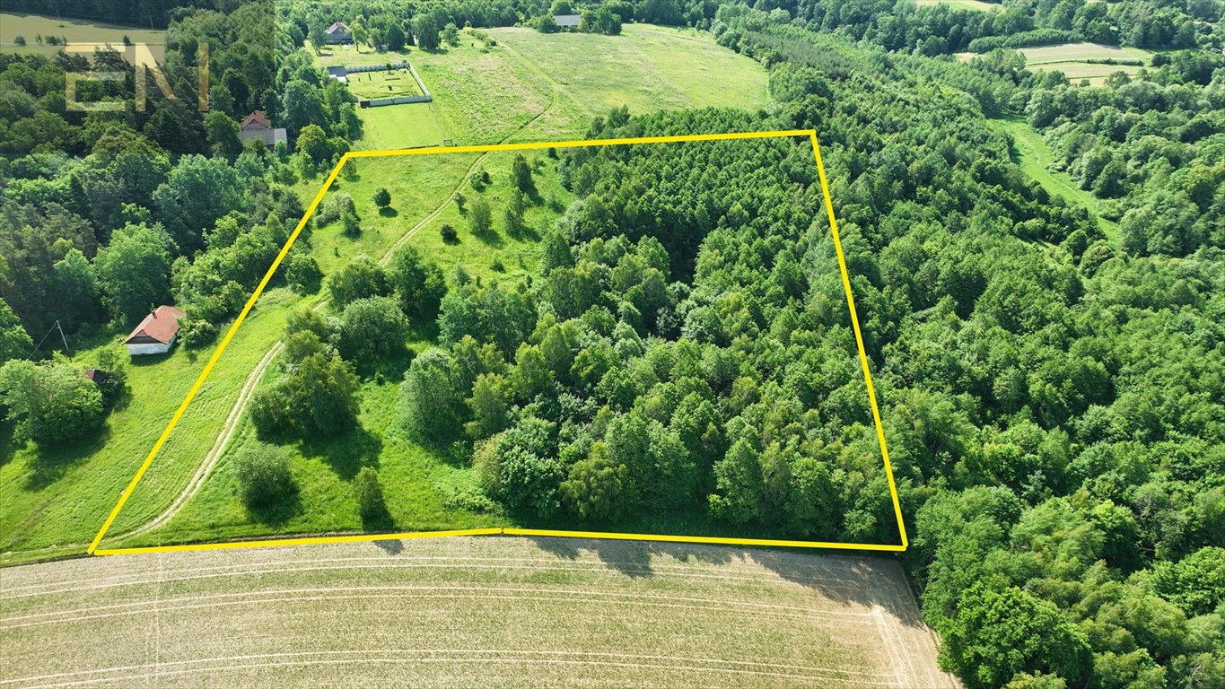 Ogromna działka 2,58 ha z widokiem i warunkami zabudowy Gbiska  25 882m2 Foto 1