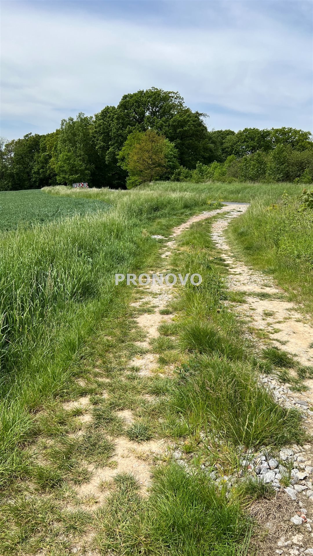 Działka budowlana na sprzedaż Borkowice, Borkowice  3 000m2 Foto 9