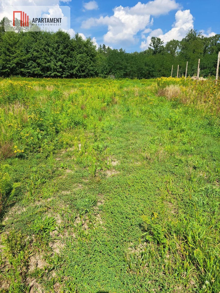 Działka budowlana na sprzedaż Wały  1 100m2 Foto 6