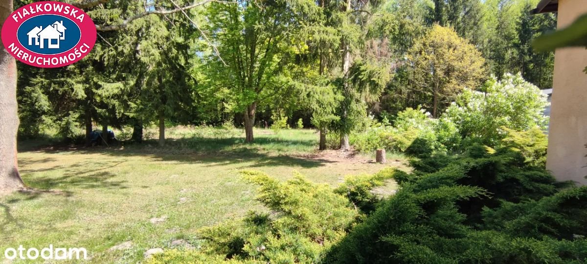Urokliwe siedlisko 120 m2 z dużą działką 1 ha w Puszczy Mariańskiej Budy Zaklasztorne  120m2 Foto 1
