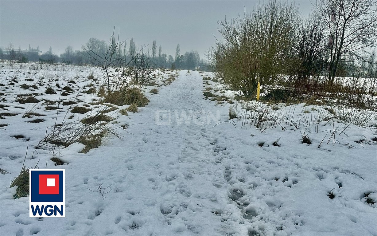 Działka budowlana na sprzedaż Kobylnica, Wandy Chotomskiej  4 900m2 Foto 3