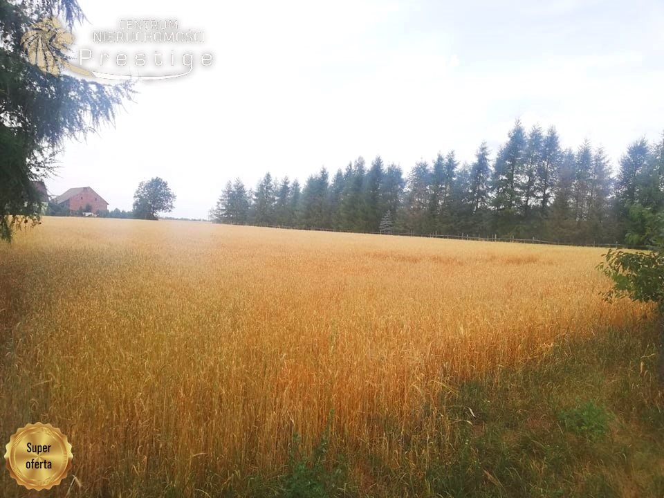 Działka budowlana na sprzedaż Biskupice, Biskupskie Drogi  1 353m2 Foto 2