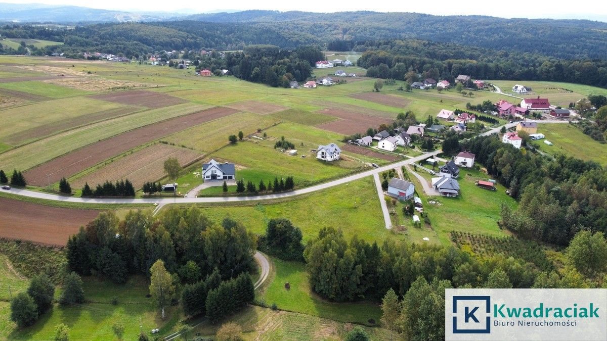 Działka budowlana na sprzedaż Izdebki  2 900m2 Foto 2