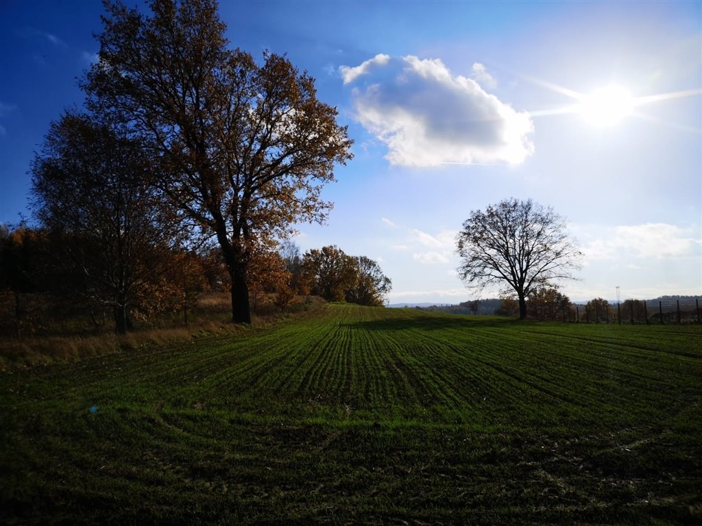 Działka budowlana na sprzedaż Pisarzowice  5 700m2 Foto 5