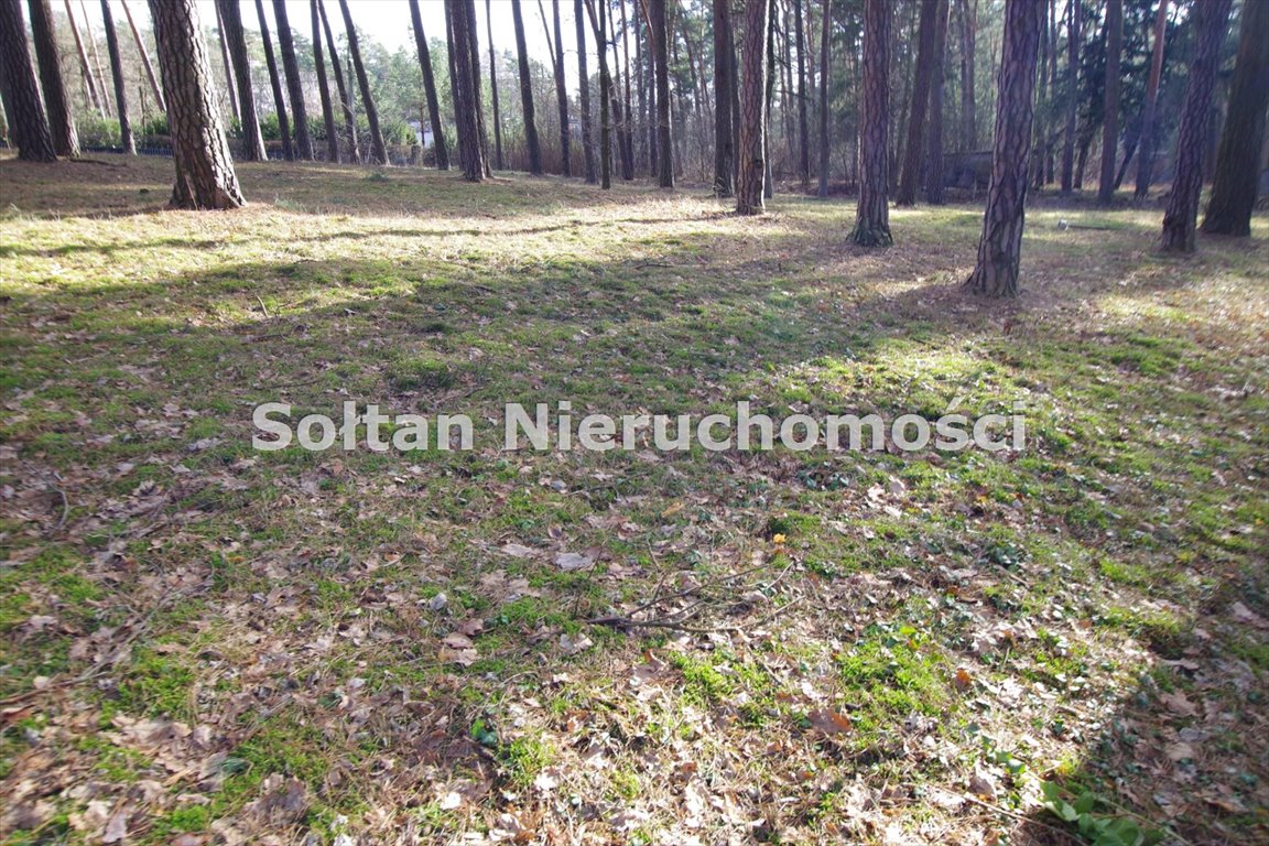 Działka budowlana na sprzedaż Konstancin-Jeziorna, Skolimów  4 645m2 Foto 2