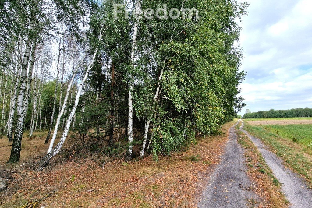 Działka inna na sprzedaż Musiejówka  8 100m2 Foto 11