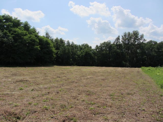 Działka budowlana na sprzedaż Myszkowice, Leśna  807m2 Foto 4