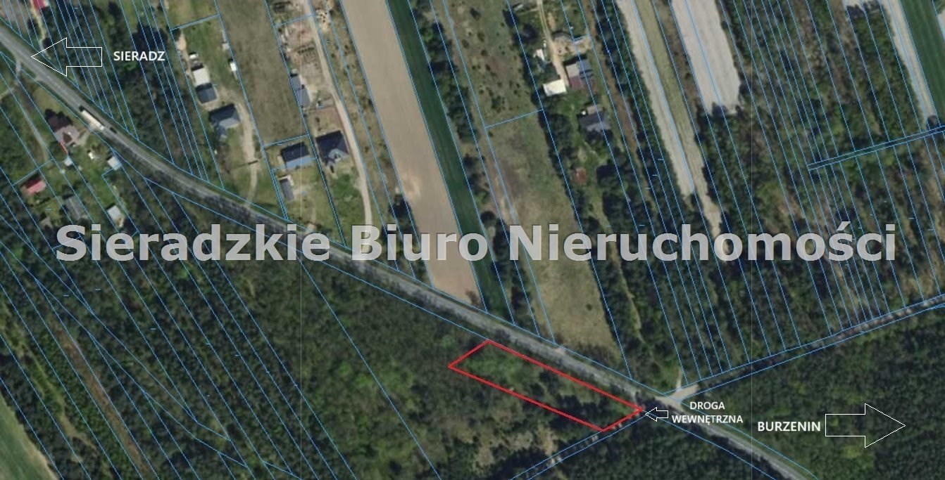 Zdjęcie 7
