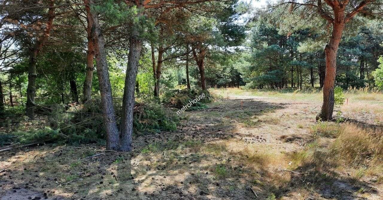 Działka budowlana na sprzedaż Adamów-Wieś  1 501m2 Foto 2